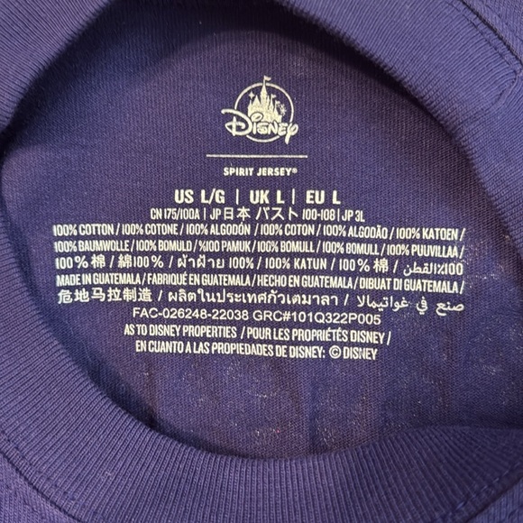 Disney parks Cinderella castle spirit jersey - Picture 5 of 8